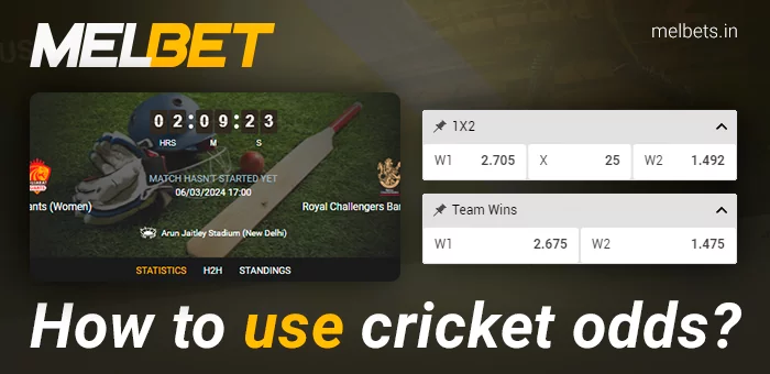 How to use odds at Melbet bookmaker when betting on cricket