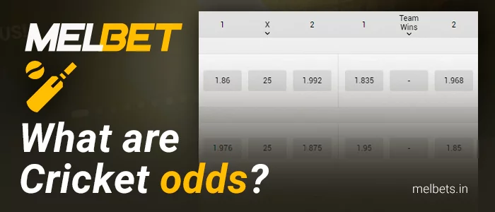 What are the odds for cricket matches at Melbet bookmaker