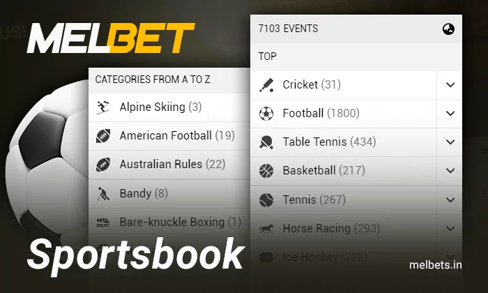 Sports to bet on at Melbet - types of sports