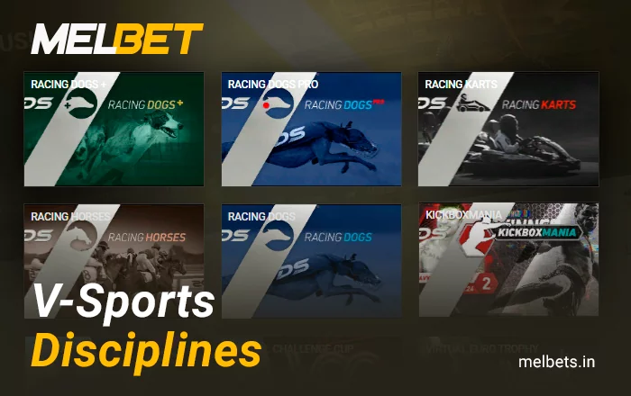 Types of virtual sports on Melbet