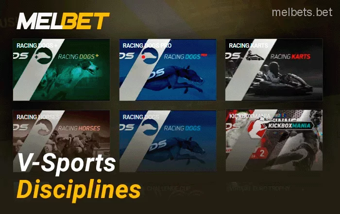Types of virtual sports on Melbet