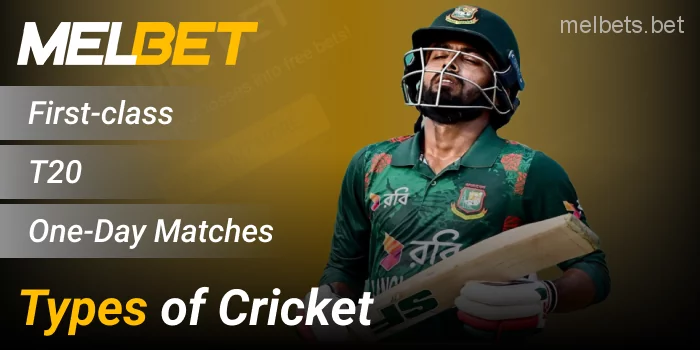 About cricket match types on Melbet