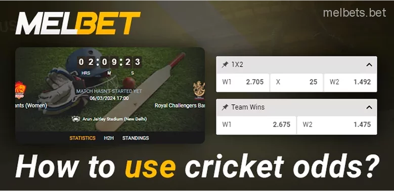 How to use odds at Melbet bookmaker when betting on cricket