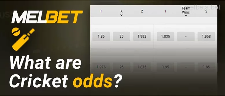 Melbet Cricket Odds