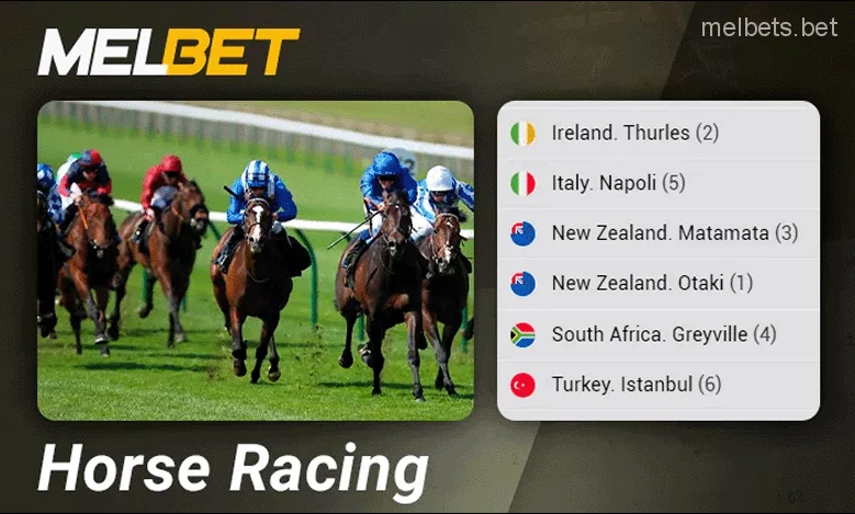 Horse Racing Online Bets on Melbet