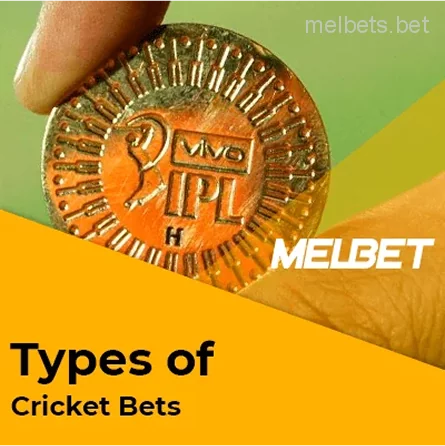 ক্রিকেট বাজির প্রকারভেদ